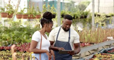 Afro-Amerikalı bir adam bitki yetiştirme odasında kadınlara tablet gösteriyor, serada bitkileri tartışıyor. Bahçıvanlık, bahçıvanlık, teknoloji, takım çalışması, danışmanlık, işbirliği