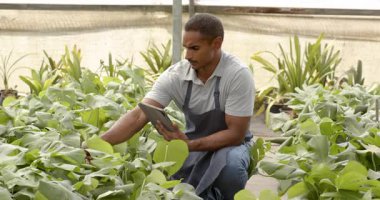 Seradaki bitkilerle ilgilenen tabletli bir adam. Bahçıvanlık, tarım, teknoloji, bahçıvanlık, tarım, tarım