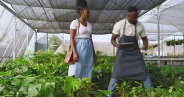 Serada bitki bakımını tartışan Afro-Amerikan adam ve müşteriler yeşilliklerle çevrili. Bahçıvanlık, bahçıvanlık, yeşillik, takım çalışması, sürdürülebilirlik, botanik