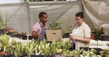 Bahçe merkezindeki çeşitli işçiler fabrikaları düzenliyor ve seradaki düzenlemeleri tartışıyorlar. Bahçecilik, takım çalışması, işbirliği, bahçıvanlık, çocuk odası, peyzaj.