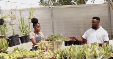 Önlüklü Afrikalı Amerikalı bir kadın serada elinde kahve olan bir adamla bitkileri tartışıyor. Bahçıvanlık, bahçıvanlık, sohbet, takım çalışması, sera, perakende