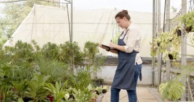 Yeşil bitkiler serada gelişiyor, yemyeşil yapraklar ve büyümeler sergileniyor. Botanik, bahçıvanlık, bitki örtüsü, yeşillik, tarım, gelişim