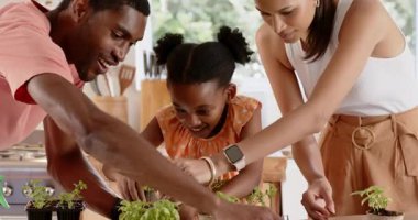 Mutfağa otlar ekiyorsun, çeşitli ailelerden bir kız bahçede bahçeyle eğleniyor. Çeşitli aile zamanları, kaynaşma, aşçılık, bahçıvanlık, kapalı alanda bahçe işleri.
