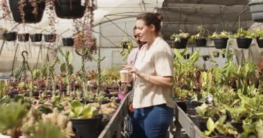 Seradaki bitkileri inceleyen çeşitli insanlar, envanteri kontrol etmek için tablet kullanıyorlar. Tarım, bahçıvanlık, teknoloji, sürdürülebilir, teftiş, tarım