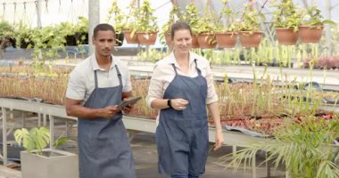 İki farklı bahçıvan serada bitki düzenlemesini tartışıyor, dijital tablet kullanıyorlar. Bahçıvanlık, bahçıvanlık, teknoloji, işbirliği, takım çalışması, planlama