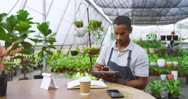 Serada tablet kullanan, fabrikaları yöneten ve notlar alan bir adam. Tarım, tarım, bahçıvanlık, teknoloji, botanikçi, tarım