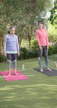 Dikey video: Kadınlar dışarıda minderler üzerinde yoga yapıyorlar, farkındalık ve denge üzerine odaklanıyorlar. Meditasyon, sağlık, zindelik, sükunet, uyum, egzersiz