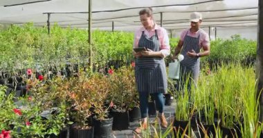 Çocuk sulama bitkilerindeki çeşitli bahçıvanlar, akıllı telefon kullanıyorlar, serada yeşillikle ilgileniyorlar. Bahçıvanlık, bahçıvanlık, teknoloji, yetiştirme, peyzaj, tarım.