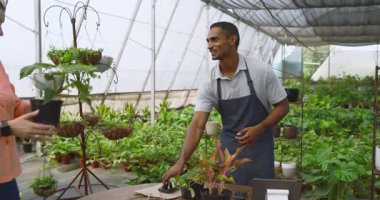 Kadın bitkileri seçerken önlüklü adam kreşte yeşillikle ilgileniyor. Bahçıvanlık, bahçıvanlık, botanik, yeşillik, sera, tarım