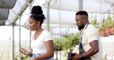 Afro-Amerikan adam ve müşteri bahçıvanlığı birlikte serada, bitkilerle ilgileniyor. Bahçıvanlık, takım çalışması, tarım, ekme, işbirliği