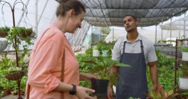 Bahçıvan serada akıllı telefon kullanıyor, gülümsüyor ve müşteriyle konuşuyor. Bahçecilik, iletişim, teknoloji, iş, müşteri hizmetleri, yeşillik