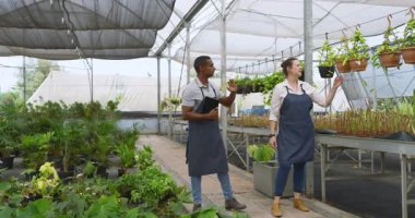 Önlüklü iki farklı bahçıvan seradaki bitkileri inceliyor ve büyüme sürecini tartışıyorlar. Bahçıvanlık, bahçıvanlık, takım çalışması, işbirliği, tarım