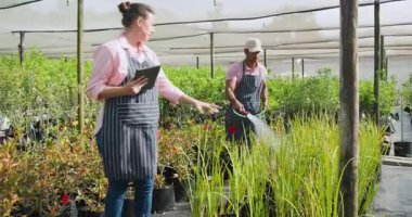 Bahçe merkezi çeşitli işçiler bitkilerle, tabletli kadın, serada yeşillik sulayan adam. Bahçıvanlık, bahçıvanlık, takım çalışması, ekme, işbirliği, çocuk bakımı