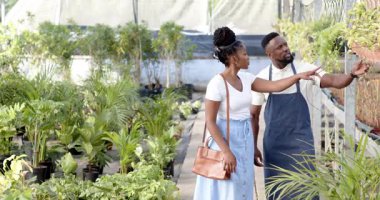 Zengin yeşilliklerle çevrili serada bitki bakımını tartışan Afrikalı adam ve müşteri. Bahçecilik, bahçıvanlık, takım çalışması, sürdürülebilirlik, ekoloji, büyüme