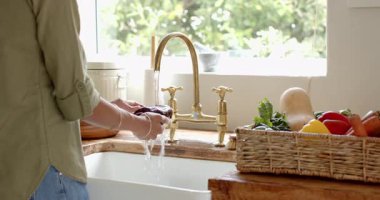 Mutfak lavabosunda el yıkamak yakınlarda, evde taze sebzelerle. Hijyen, yemek pişirme, organik, sağlıklı, temizlik, tazelik.