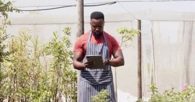 Bahçede bitki yetiştiren, önlük giyen, seradaki işine odaklanmış Afrikalı Amerikalı bir adam. Bahçıvanlık, bahçıvanlık, tarım, tarım, tarım, doğa.