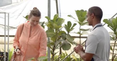 Serada gülümseyen kadın bitkilerin arasında akıllı telefon tutan işçiyle konuşuyor. Bahçıvanlık, iletişim, takım çalışması, tarım, bahçıvanlık, işbirliği