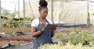 Afro-Amerikalı kadın serada tablet yöneticiliği yapıyor. Tarım, tarım, teknoloji, bahçıvanlık, botanik, yenilik