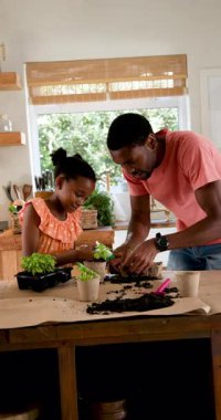 Dikey video: Baba ve kızı evde birlikte ot ekiyor, kaliteli zaman geçiriyor. Aile, bahçıvanlık, bağlılık, ebeveynlik, hobi, yaşam tarzı