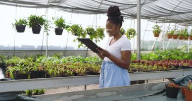 Bitkilerle çevrili seradaki panoya yazı yazan Afro-Amerikalı kadın. Bahçıvanlık, tarım, bahçıvanlık, botanikçilik, sürdürülebilirlik, tarım