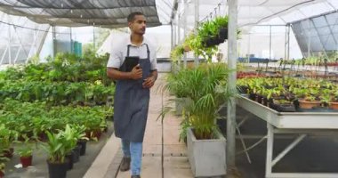 Önlüklü bir adam tablet tutuyor, seradaki bitkileri inceliyor. Bahçecilik, bahçıvanlık, tarım, teknoloji, sürdürülebilirlik, tarım