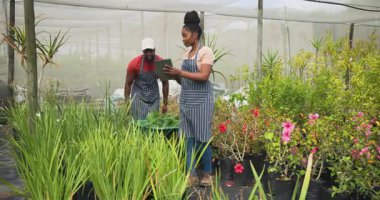 Serada bitki yetiştiren Afro-Amerikalı kadın bahçe işlerine odaklanmış. Bahçecilik, tarım, tarım, yeşillik, doğa, botanik