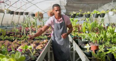 Seradaki bahçıvan bitkilerle ilgileniyor, önlük giyiyor ve gülümsüyor. Bahçıvanlık, bahçıvanlık, tarım, yetiştirme, botanik