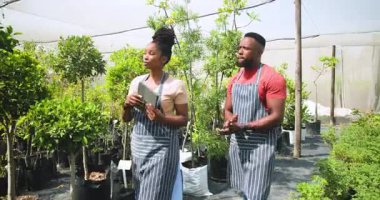 Afro-Amerikan bahçıvanlar serada bitki bakımını tartışan tablet kullanıyorlar. Bahçıvanlık, teknoloji, işbirliği, bahçıvanlık, takım çalışması, dijital