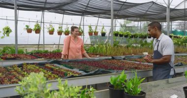 Serada bitki seçmek, bahçıvanlık meraklısı personelle tartışmak, gülümsemek. Bahçecilik, tarım, tartışma, müşteri hizmetleri