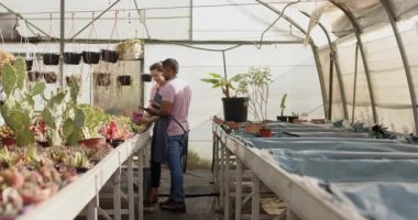 Serada çeşitli bahçıvanlar bitki yetiştiriyor ve birlikte bakım tekniklerini tartışıyorlar. Bahçıvanlık, bahçıvanlık, tarım, takım çalışması, işbirliği, botanik