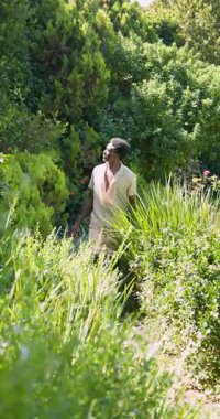 Dikey video: Genç adam yemyeşil bahçede yürüyor, doğanın ve yeşilliğin tadını çıkarıyor. Açık hava, gezinti, rahatlama, sükunet.