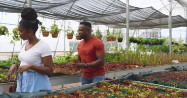 Seradaki bitkileri keşfetmek, Afro-Amerikan adam ve müşteri bahçıvanlığı. Bahçecilik, takım çalışması, sürdürülebilirlik, yetiştirme, yetiştirme, botanik