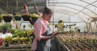 Çeşitli bahçıvanlar serada fideleri incelerken bitki bakımını tartışıyorlar. Bahçıvanlık, bahçıvanlık, sürdürülebilirlik, tarım, takım çalışması, tartışma