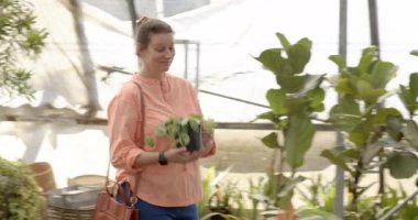 Bitki bakımı, bahçıvanlık uzmanlığı çocuk odası, yeşillik, sera. bitkiler, bahçıvanlık, danışma, müşteri hizmetleri, uzmanlık, botanik