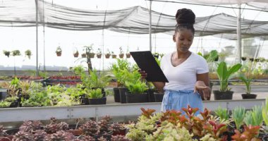 Afrika kökenli Amerikalı bir kadın elinde bir pano, sera fidanlığındaki bitkileri inceliyor. Bahçecilik, teftiş, tarım, sürdürülebilirlik, botanikçi, flora
