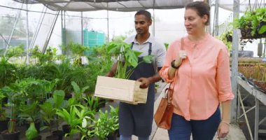 Seradaki bitkileri seçmek, yemyeşil alanlarla çevrili çeşitli bahçe meraklıları. Bahçecilik, botanikçilik, tarım, bitki örtüsü, bitki örtüsü, fidanlık.