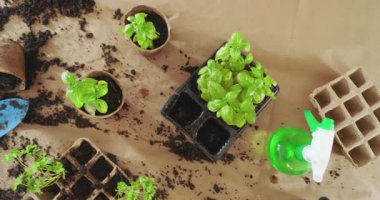 Bahçıvanlık aletleri ve fidanlar masada, bahçe işleri aktiviteleri sergileniyor. Tarım, bahçıvanlık, DIY, açık hava