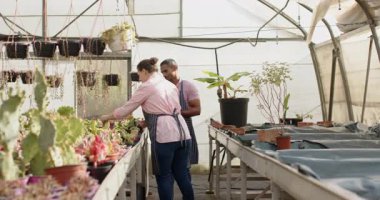 Önlüklü çeşitli bahçıvanlar seradaki bitkilerle ilgileniyor, bakım tekniklerini tartışıyorlar. Bahçıvanlık, bahçıvanlık, takım çalışması, yetiştirme, işbirliği, botanik