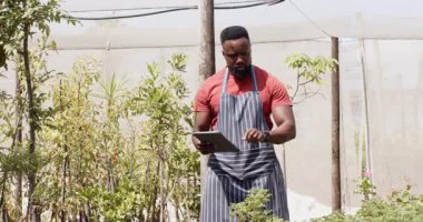 Önlüklü bahçıvan yemyeşil fidanlıktaki bitkilerle ilgileniyor, seradaki işine odaklanmış. Bahçıvanlık, bahçıvanlık, botanik, yetiştirme, yetiştirme, yeşillik