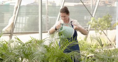 Serada çiçekleri sulayan, serayı özenle besleyen bir adam. Bahçıvanlık, bahçıvanlık, tarım, sürdürülebilirlik, büyüme, botanik