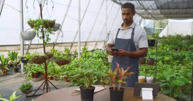 Önlüklü adam seradaki kadınla bitki bakımını tartışıyor. Bahçıvanlık, bahçıvanlık, takım çalışması, işbirliği, danışmanlık, sohbet