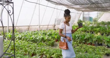 Bitki bakımı, Afro-Amerikan adam ve müşteri sera kreşinde çevresi yeşilliklerle çevrili. Bahçıvanlık, bahçıvanlık, tartışma, takım çalışması, botanik, yetiştirme