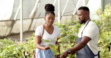 Afro-Amerikalı adam ve müşteri serada bitki bakımını tartışıyor, çevresi yeşilliklerle çevrili. Bahçıvanlık, bahçıvanlık, biyolojik çeşitlilik, sürdürülebilirlik, botanik, çevre