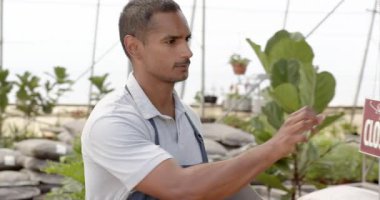 Bahçıvan açık tabelanın yanında duruyor, serada yemyeşil bitkilerle çevrili. Bahçıvanlık, bahçıvanlık, peyzaj, yeşillik, yeşillik, fidanlık.