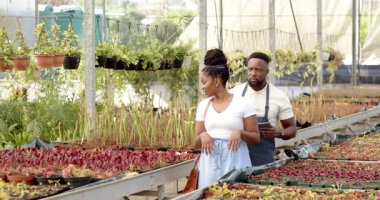 Serada canlı bitkileri keşfeden Afro-Amerikan kadın doğayı takdir ediyor. Bahçecilik, bahçıvanlık, botanik, çiçekçilik, yeşillik, biyolojik çeşitlilik.