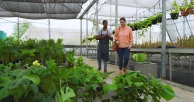 Seradaki çeşitli insan ve müşteriler bitkileri teftiş ediyor, büyüme ve bakımı tartışıyorlar. Tarım, tarım, bahçıvanlık, sürdürülebilir, takım çalışması, işbirliği