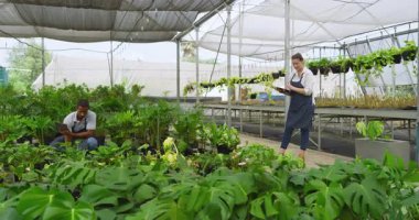 Seradaki çeşitli bahçıvanlar bitkileri teftiş edip not alıyorlar. Bahçıvanlık, bahçıvanlık, teftiş, tarım, ekip çalışması.