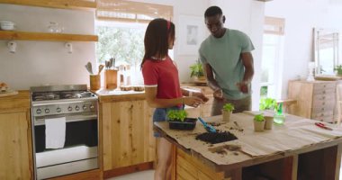 Çeşitli çiftler mutfakta birlikte bitki dikiyorlar, evde yaratıcı iç aktivitelerin tadını çıkarıyorlar. Bahçıvanlık, takım çalışması, hobi, bağlanma, ev, yaşam tarzı