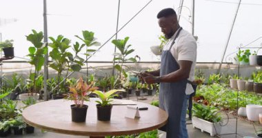 Müşteri seradaki kreşten çiçek alıyor, seçenekleri tartışıyor. Bahçe, perakende, alım, botanik, yardım, müşteri hizmetleri.