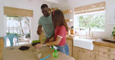 Çeşitli çiftler mutfakta bitki yetiştiriyor, tatilde, evde bahçe işlerinin keyfini çıkarıyorlar. Boş zaman, hobi, rahatlama.